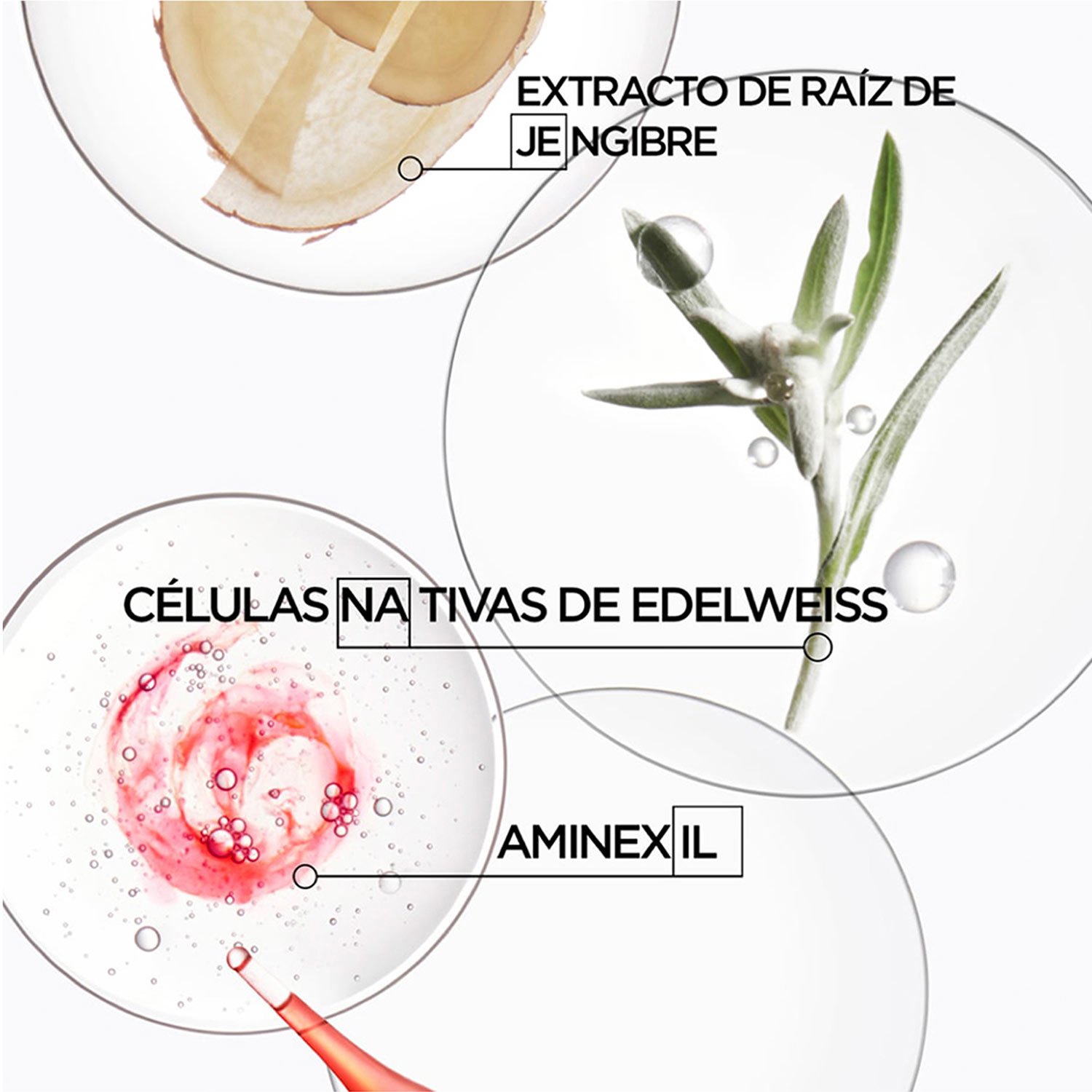 Ingredientes principales Spray Fortalecedor Anti-Caída y Protector Térmico Genesis